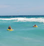 clases de surf en ávido Rentals